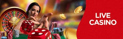 585bet com